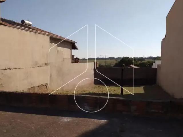 Terreno / Lote para Venda em Marília/SP Jardim Maria Martha