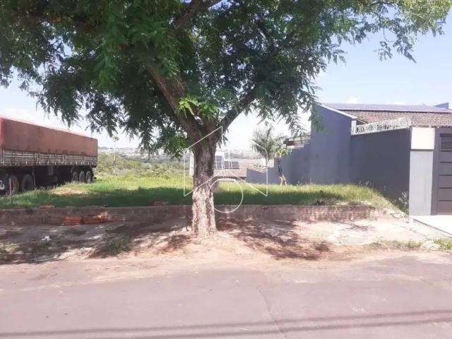 Terreno / Lote para Venda em Marília/SP Jardim Acapulco