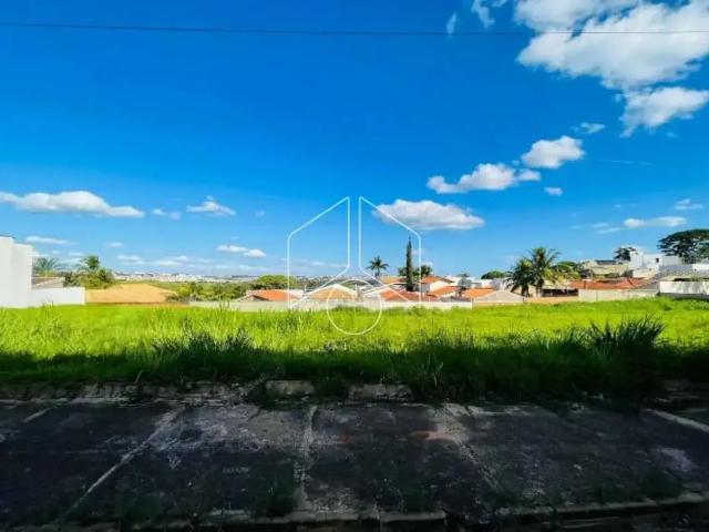 Terreno / Lote para Venda em Marília/SP Jardim Acapulco