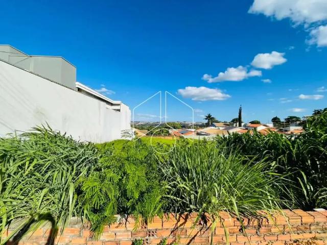 Terreno / Lote para Venda em Marília/SP Jardim Acapulco