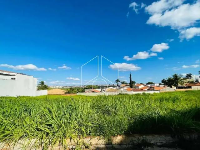 Terreno / Lote para Venda em Marília/SP Jardim Acapulco