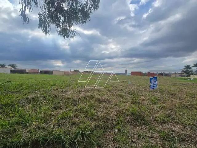 Terreno / Lote para Venda em Marília/SP Jardim Cavallari