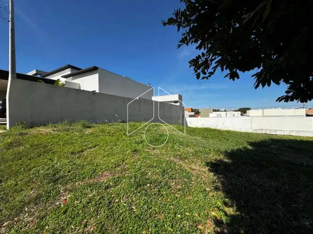 Terreno / Lote para Venda em Marília/SP Jardim Colibri