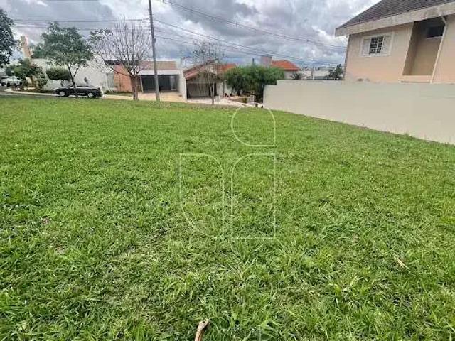 Terreno / Lote para Venda em Marília/SP Jardim Colibri