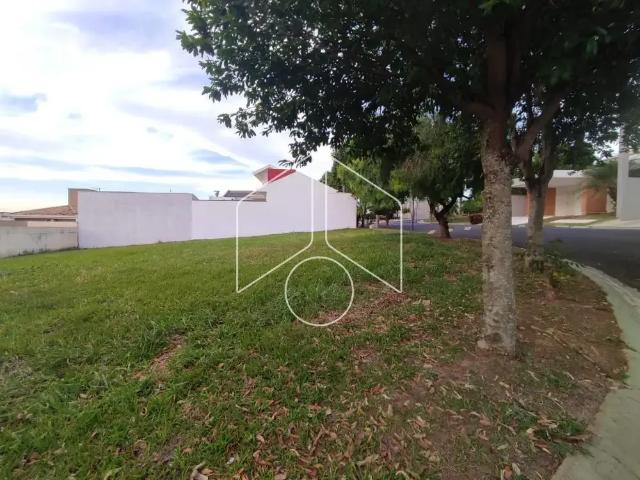 Terreno / Lote para Venda em Marília/SP Jardim Colibri