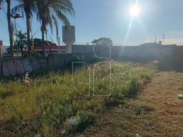Terreno / Lote para Venda em Marília/SP Jardim Continental