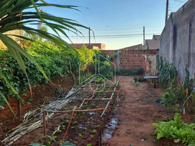 Terreno / Lote para Venda em Marília/SP Jardim Domingos de Léo