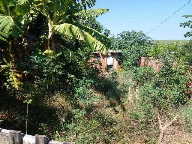 Terreno / Lote para Venda em Marília/SP Jardim Domingos de Léo