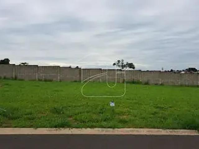 Terreno / Lote para Venda em Marília/SP Jardim Esmeralda