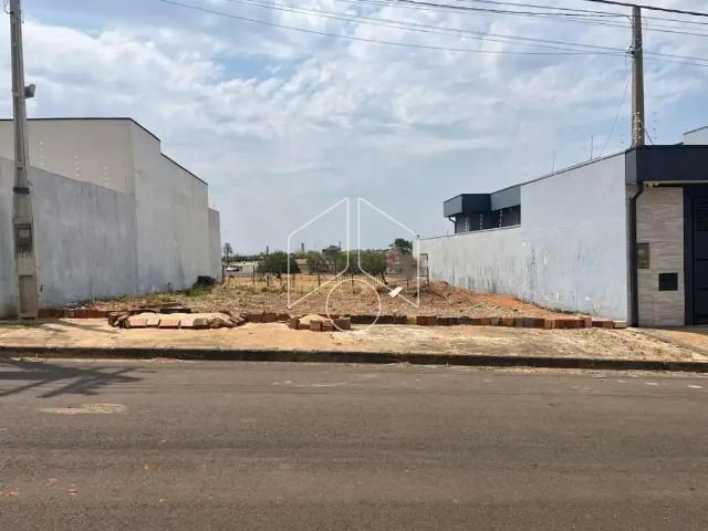 Terreno / Lote para Venda em Marília/SP Jardim Florença
