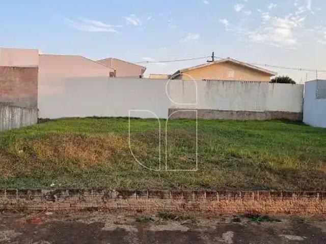 Terreno / Lote para Venda em Marília/SP Jardim Florença