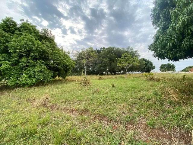 Terreno / Lote para Venda em Marília/SP Jardim Florença
