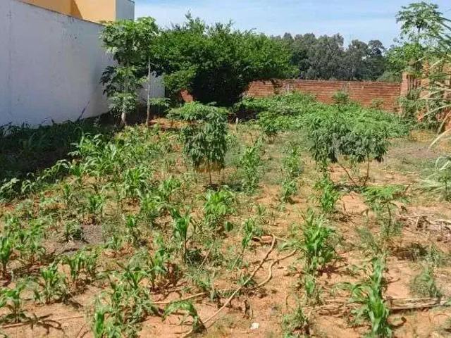 Terreno / Lote para Venda em Marília/SP Jardim Florença