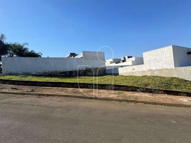 Terreno / Lote para Venda em Marília/SP Jardim Florença