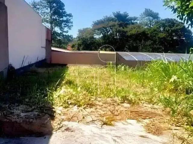 Terreno / Lote para Venda em Marília/SP Jardim Fontanelli