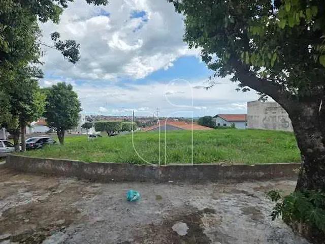 Terreno / Lote para Venda em Marília/SP Jardim Itaipu