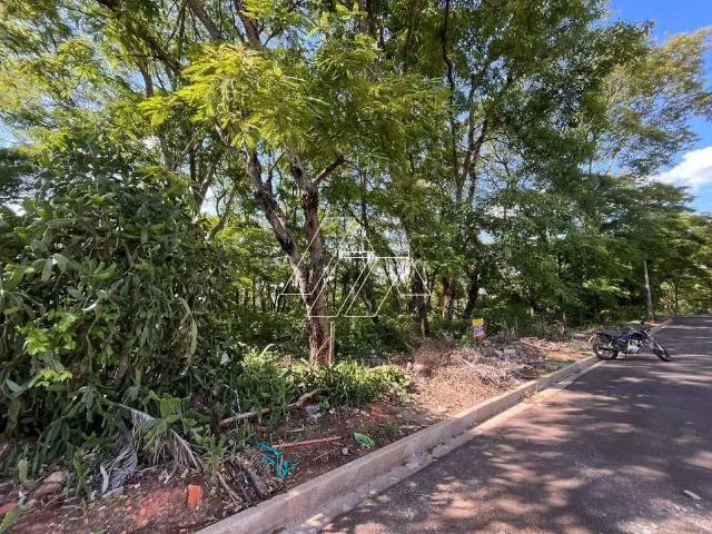 Terreno / Lote para Venda em Marília/SP Jardim Estoril