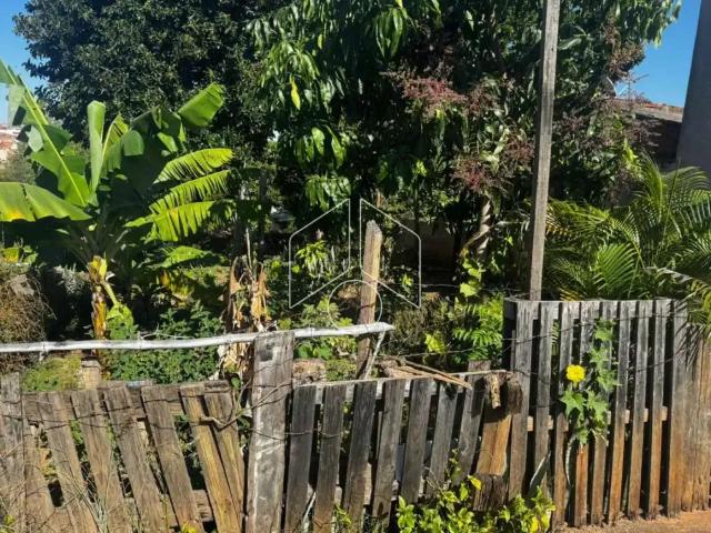 Terreno / Lote para Venda em Marília/SP Jardim Santa Antonieta