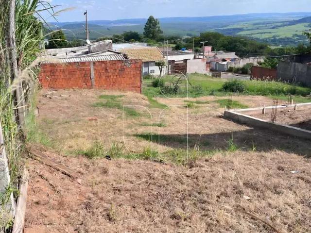 Terreno / Lote para Venda em Marília/SP Jardim Santa Clara