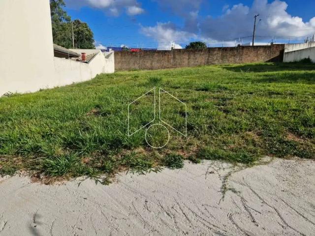 Terreno / Lote para Venda em Marília/SP Jardim Tropical