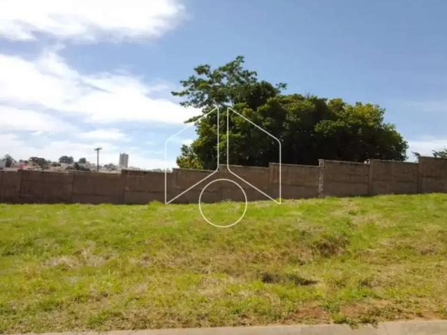 Terreno / Lote para Venda em Marília/SP Jardim Tropical