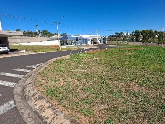 Terreno / Lote para Venda em Marília/SP Jardim Tropical