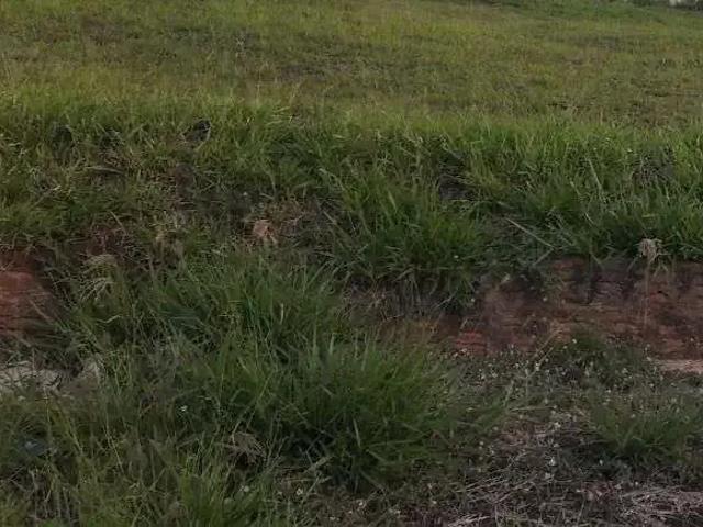 Terreno / Lote para Venda em Marília/SP Jardim Tropical