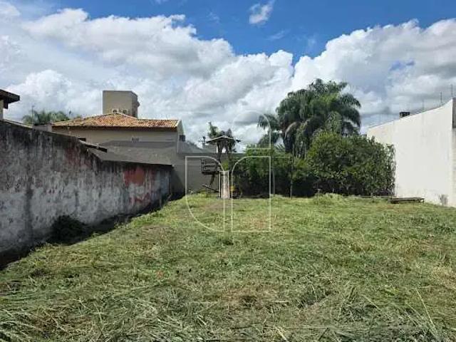 Terreno / Lote para Venda em Marília/SP Jardim Tropical