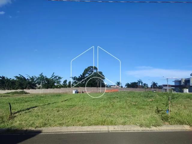 Terreno / Lote para Venda em Marília/SP Jardim Tropical
