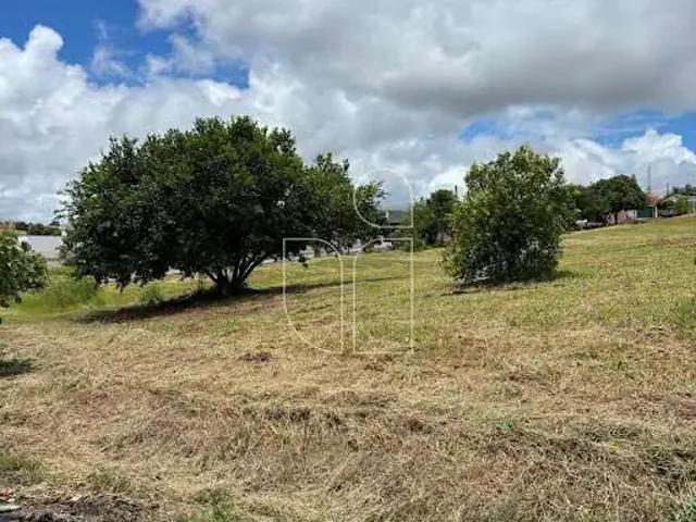 Terreno / Lote para Venda em Marília/SP Jardim Universitário