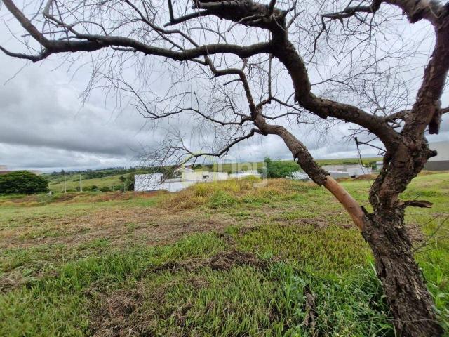Terreno / Lote para Venda em Marília/SP Loteamento Residencial e Comercial Fazenda São Sebastião