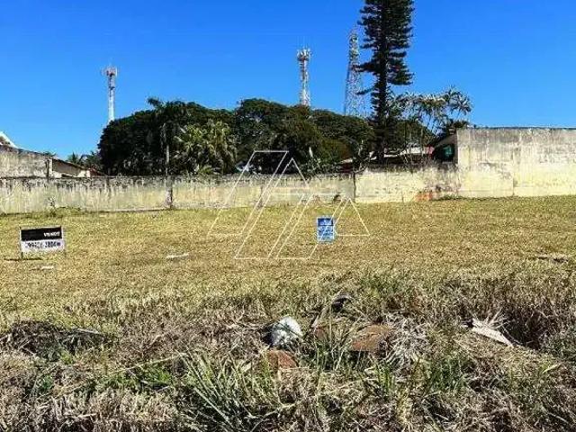 Terreno / Lote para Venda em Marília/SP Senador Salgado Filho