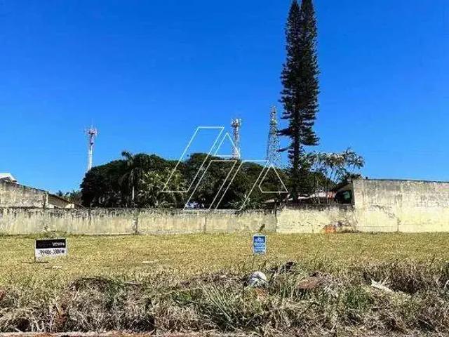 Terreno / Lote para Venda em Marília/SP Senador Salgado Filho