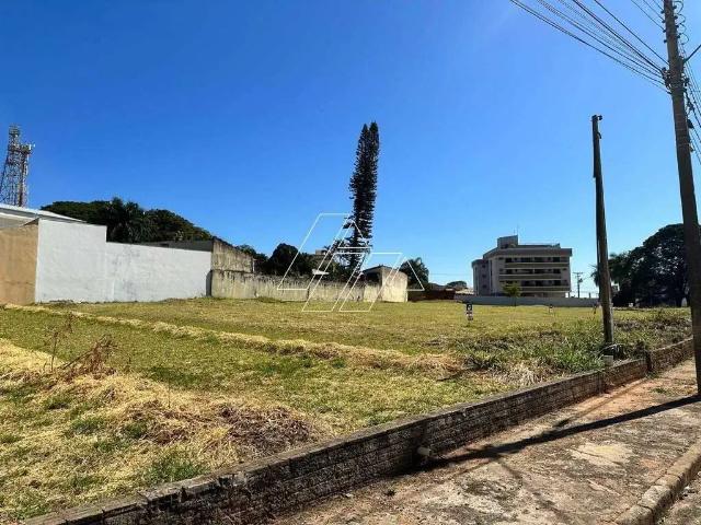 Terreno / Lote para Venda em Marília/SP Senador Salgado Filho