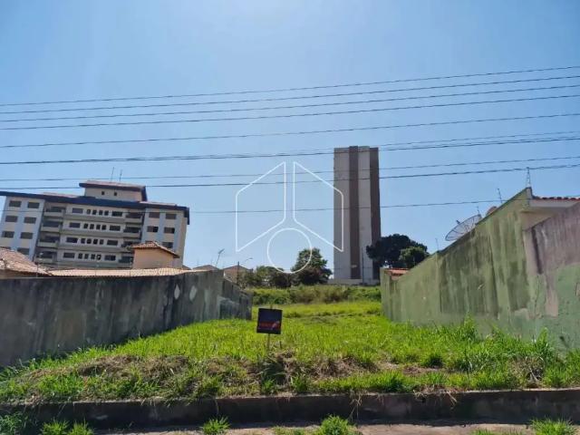 Terreno / Lote para Venda em Marília/SP Senador Salgado Filho