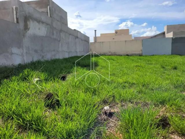 Terreno / Lote para Venda em Marília/SP Sérgio Roim Padre Nóbrega