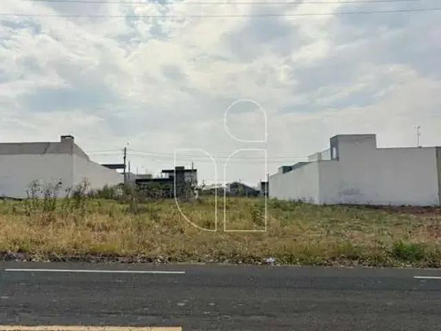 Terreno / Lote para Venda em Marília/SP Sérgio Roim Padre Nóbrega