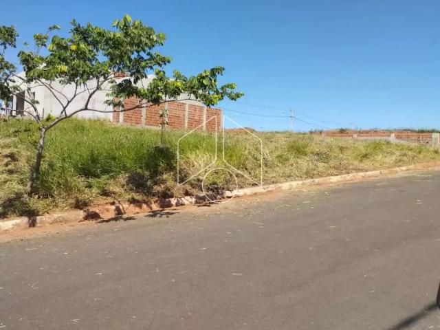 Terreno / Lote para Venda em Marília/SP Parque das Flores