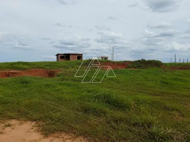 Terreno / Lote para Venda em Marília/SP Parque das Flores