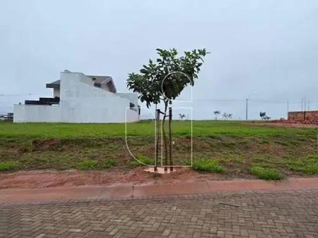 Terreno / Lote para Venda em Marília/SP Centro