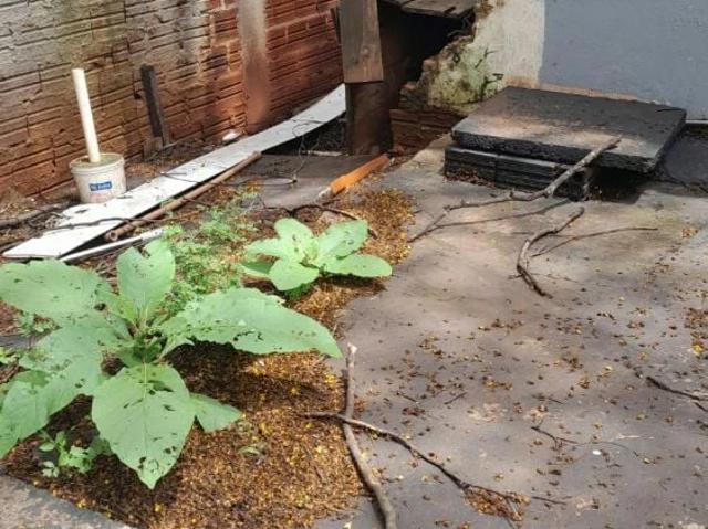 Terreno / Lote para Venda em Maringá/PR Conjunto João de Barro Porto Seguro II