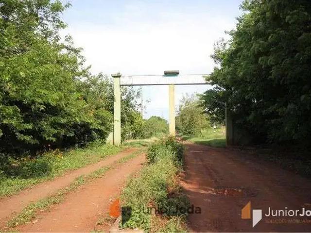 Terreno / Lote para Venda em Maringá/PR Gleba Ribeirão Maringá
