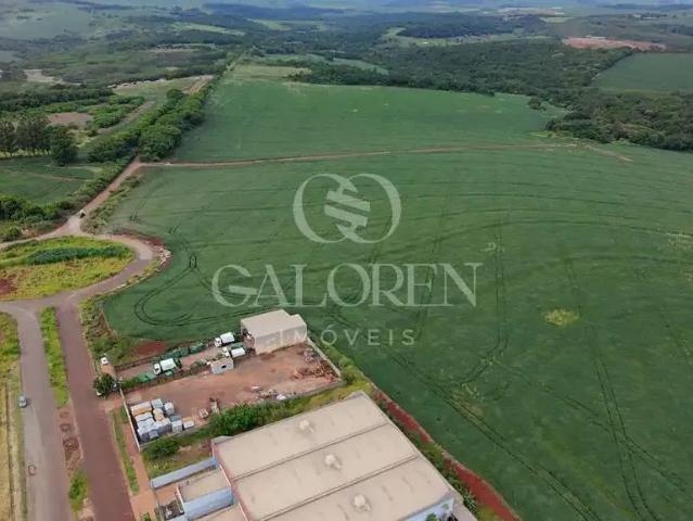 Terreno / Lote para Venda em Maringá/PR Gleba Ribeirão Pinguim