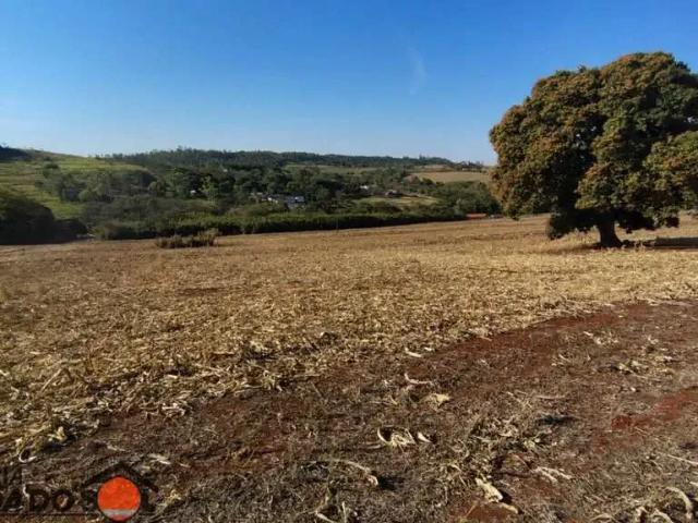 Terreno / Lote para Venda em Maringá/PR Distrito de Floriano Floriano