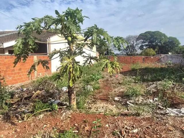 Terreno / Lote para Venda em Maringá/PR Jardim Alvorada