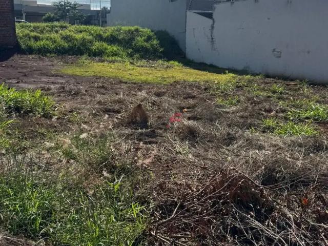 Terreno / Lote para Venda em Maringá/PR Jardim Araucária 1 Quartos