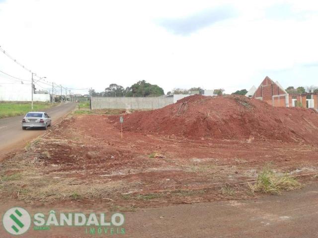 Terreno / Lote para Venda em Maringá/PR Jardim das Flores