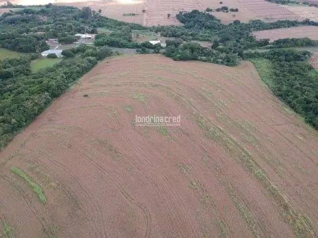 Terreno / Lote para Venda em Maringá/PR Parque Industrial I