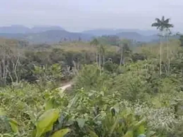 Terreno / Lote para Venda em Massaranduba/SC Zona Rural