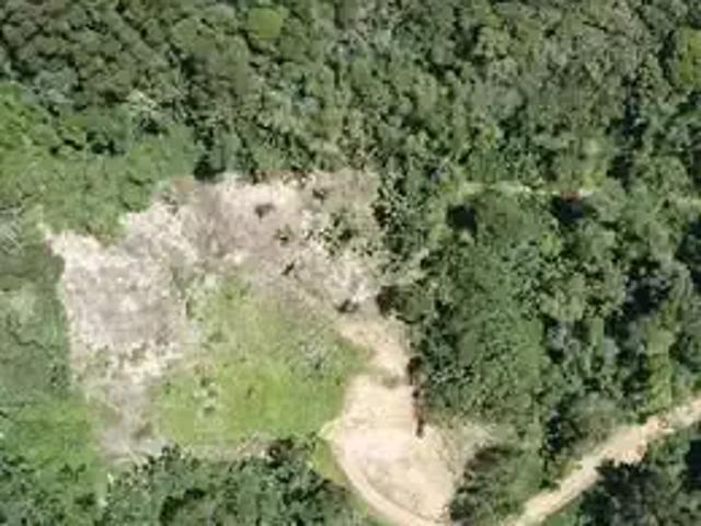 Terreno / Lote para Venda em Massaranduba/SC Zona Rural
